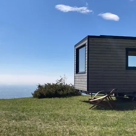 Riconnettiti Con La Natura Sul Monte Joanaz * Calla